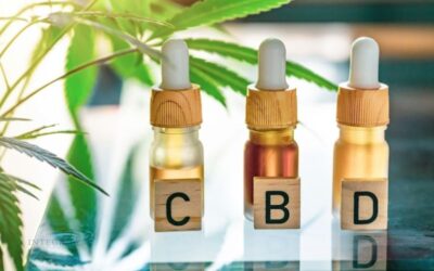 How CBD Brands Build Stability, Trust, and Growth Through Smarter Payment Processing